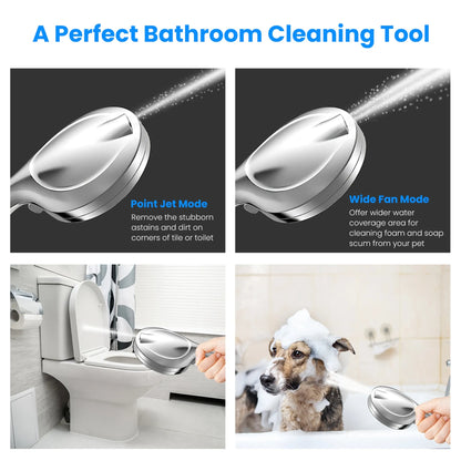 Handheld Filtered High Pressure Shower Head