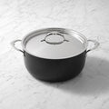 Hestan TITUM Fusion Nonstick Stockpot, 8-Qt.