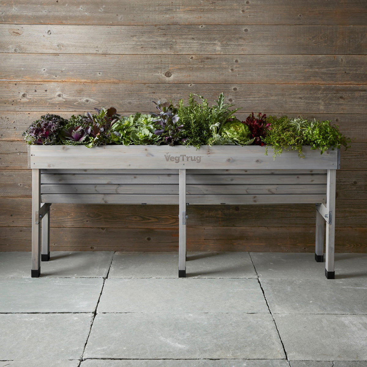 VegTrug Wallhugger, Medium, Grey