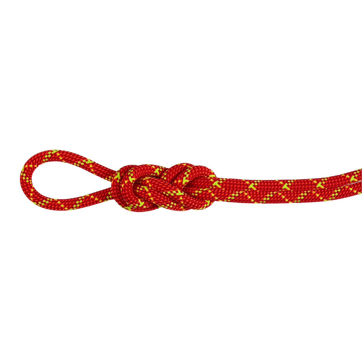 Mammut Alpine Core Protect Dry 8.0 mm Rope